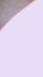 Blume696 webcam model stream image