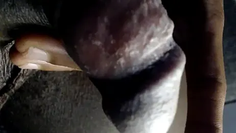 hoittytoittyxx webcam model stream image
