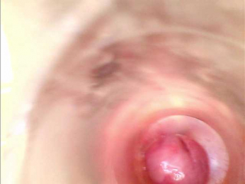 Shannon-kane webcam bongacams model stream image