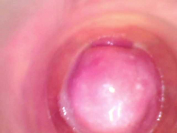 Shannon-kane webcam bongacams model stream image