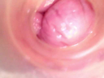 Shannon-kane webcam bongacams model stream image