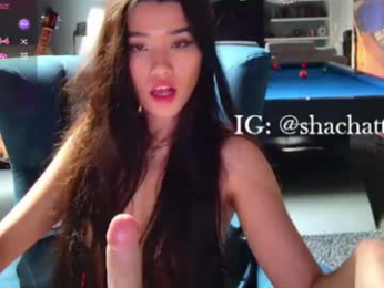 shachatte webcam model stream image