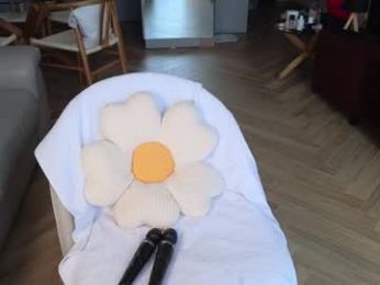 swt_shadow webcam model stream image