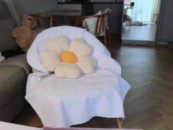 swt_shadow webcam model stream image