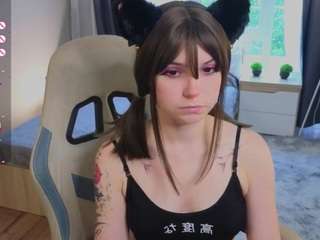 zelda11 webcam model stream image