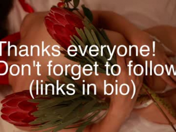 _protea webcam model stream image