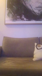 LMTHA webcam model stream image