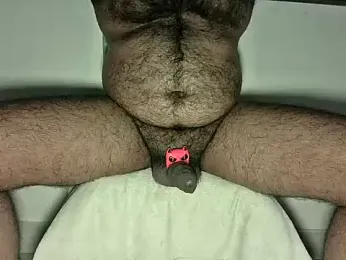alexcsp webcam model stream image