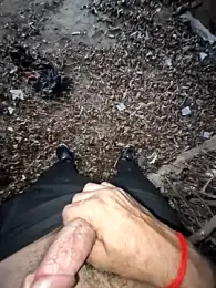 breejs webcam model stream image