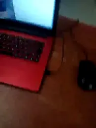 Palevis webcam model stream image