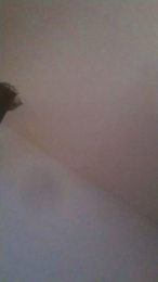 Yeuxbleu80 webcam model stream image