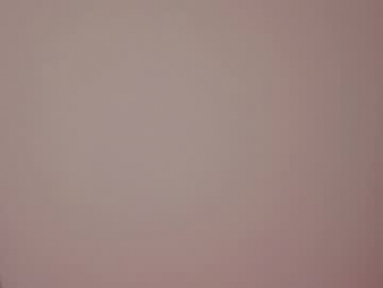 pamilarakestraw webcam model stream image