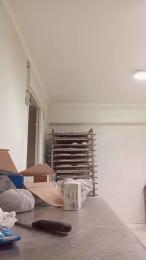 Steveporno webcam cam4 model stream image