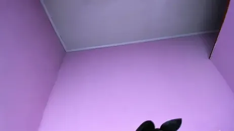 Valery2_salazar webcam stripchat model stream image