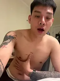 latava webcam model stream image