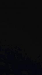 Mirsad_42 webcam model stream image