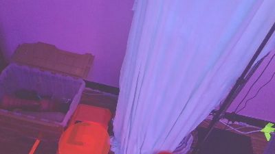 sfpunkpig webcam model stream image