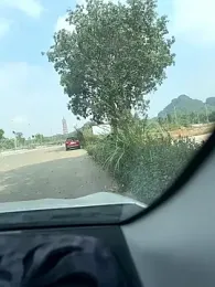 NHMDuc webcam model stream image