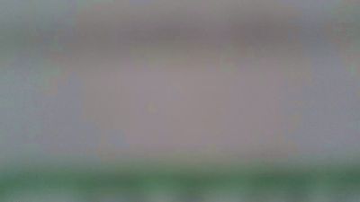 pet_bras webcam model stream image