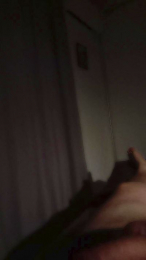 penl1 webcam model stream image