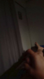penl1 webcam model stream image