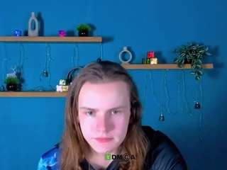 leo-void webcam model stream image