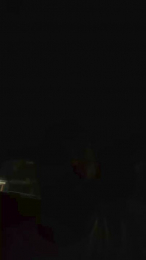 Simo2209 webcam model stream image