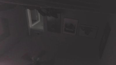 BIGbbrownn webcam model stream image