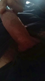 Chefporco82 webcam model stream image