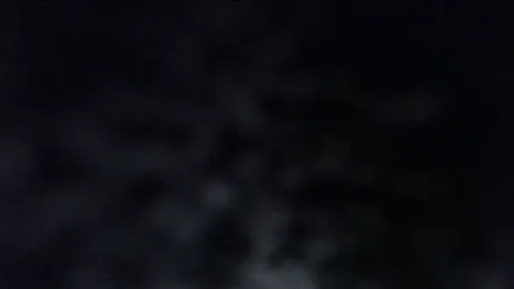 ADRIANNA_FOX webcam model stream image