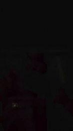 Carusohorse webcam model stream image