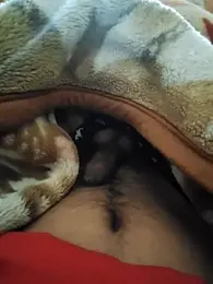 Pink_head_dick webcam model stream image
