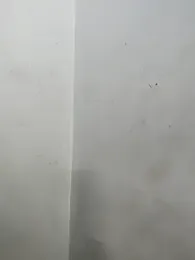 Sania-Love webcam stripchat model stream image