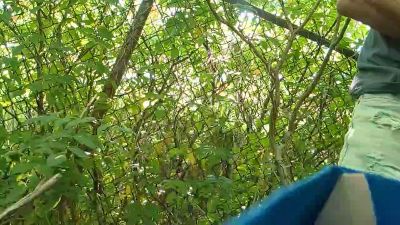 darou666 webcam model stream image