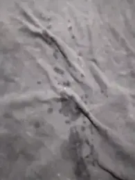 Novinhoxxx webcam stripchat model stream image