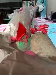 onelamalmi webcam stripchat model stream image