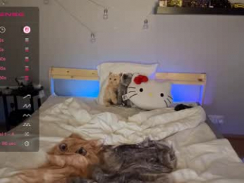 blushandburn webcam model stream image