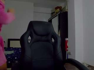 dedesibel1 webcam model stream image