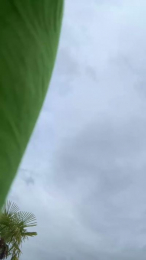 laetysia88 webcam model stream image