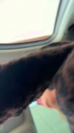 laetysia88 webcam model stream image