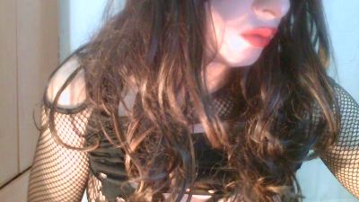 Pascaltrans webcam model stream image