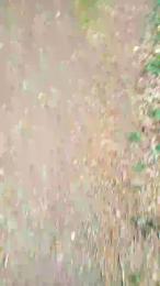 Etoile67moosa webcam model stream image