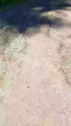 Etoile67moosa webcam model stream image