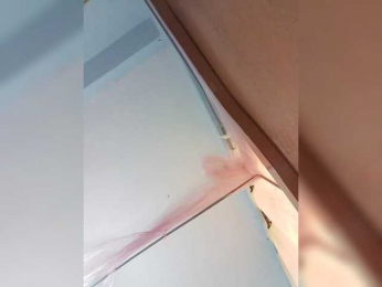 Hornypee295 webcam model stream image