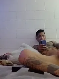 Papinine6 webcam model stream image