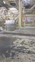 porcinoTN webcam model stream image