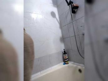 HATPAXAHA webcam model stream image