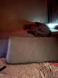 Bastet webcam model stream image