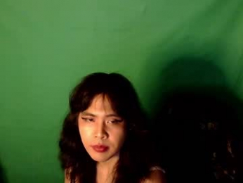 tashakai webcam chaturbate model stream image