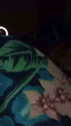 Carito3535 webcam model stream image